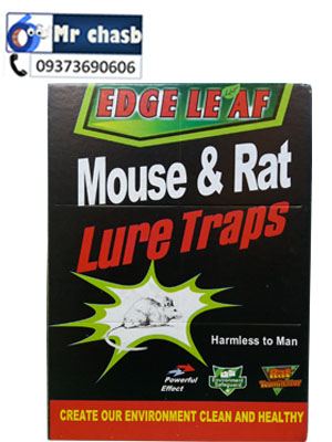 چسب موش کتابی اصلی